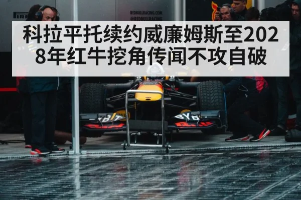 Red Bull Racing team