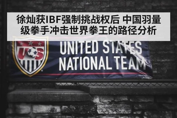 徐灿获IBF强制挑战权后 中国羽量级拳手冲击世界拳王的路径分析
